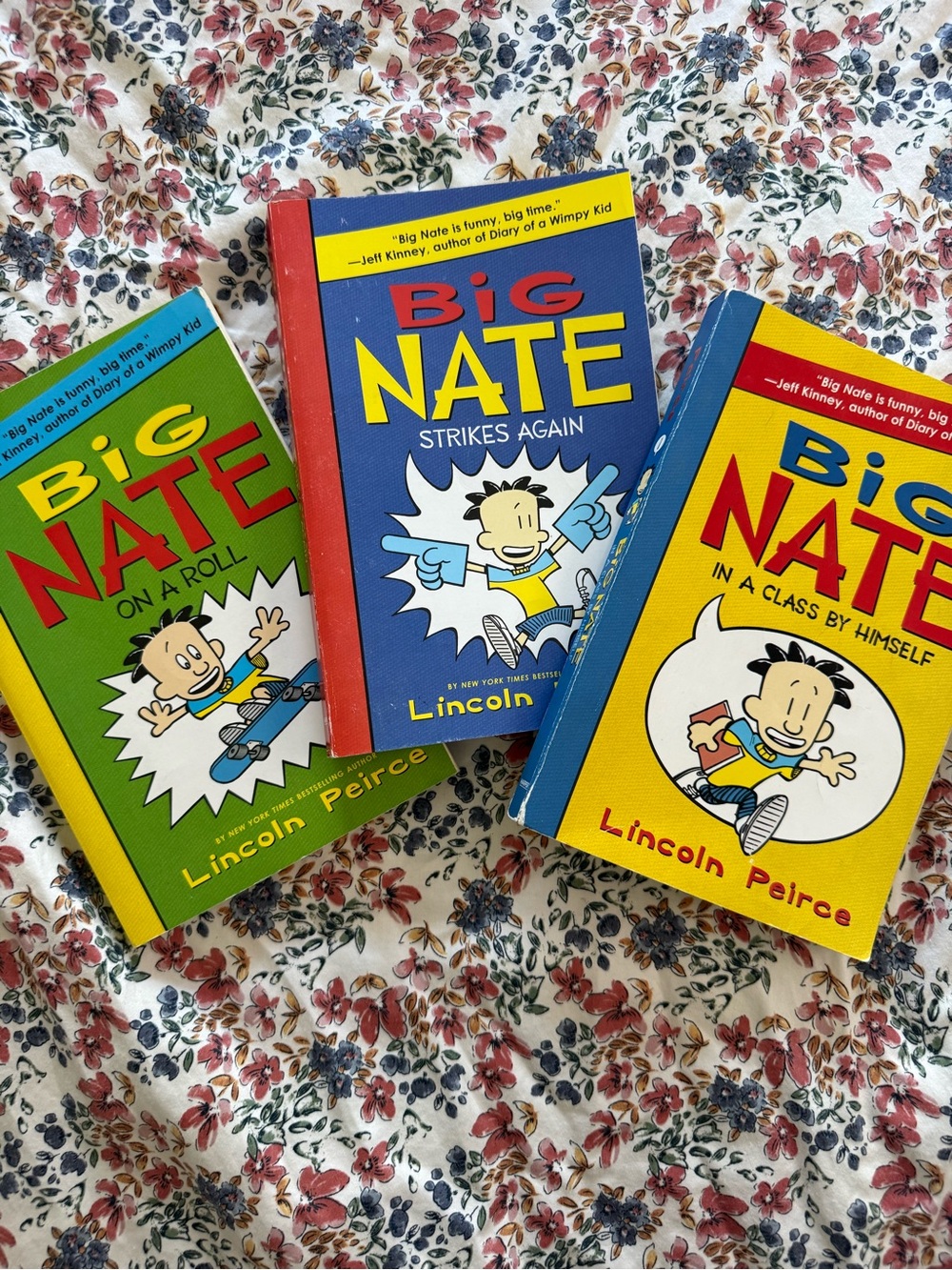 Big Nate Book Set